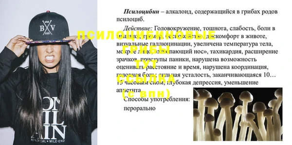 PSILOCYBIN Киренск