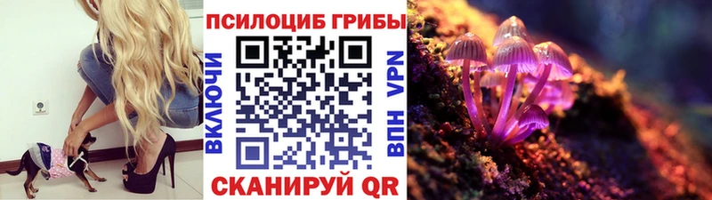 сколько стоит  Любим  Галлюциногенные грибы Psilocybe 